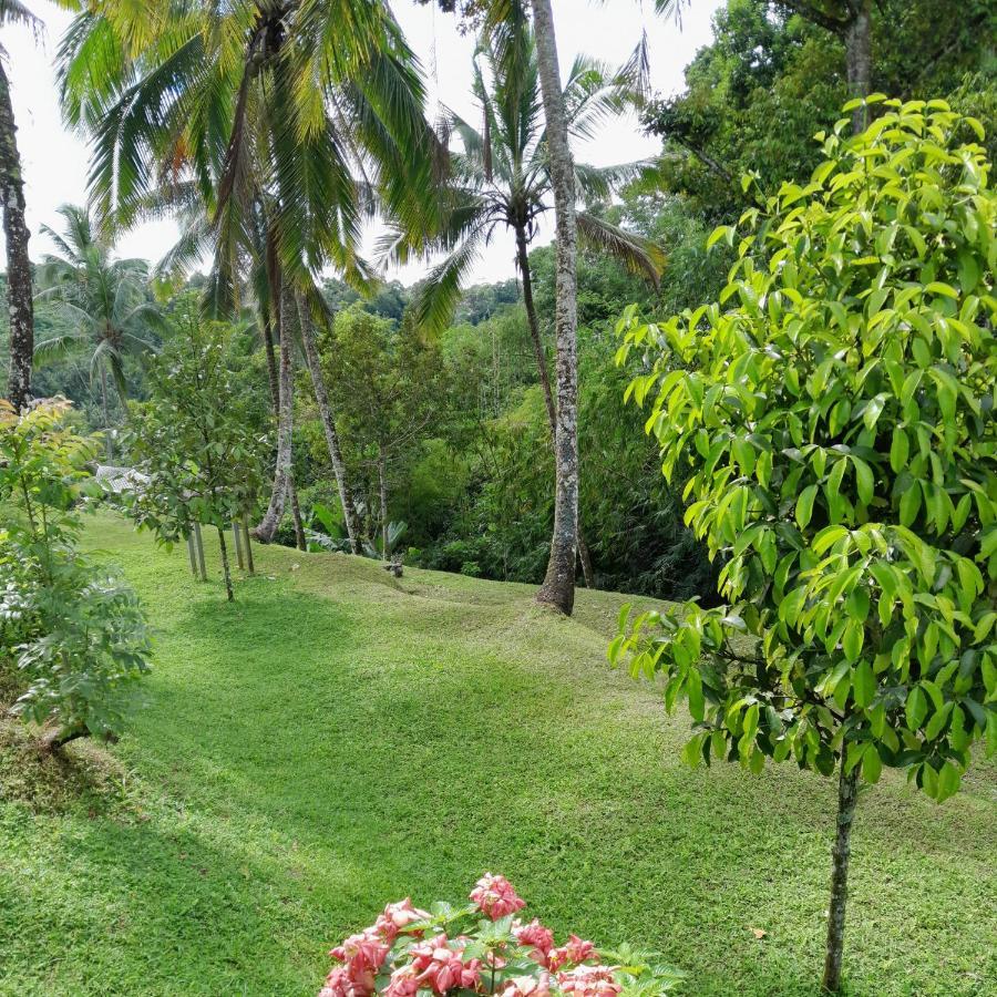 Hotel Sugita Wooden House Payangan Exterior foto